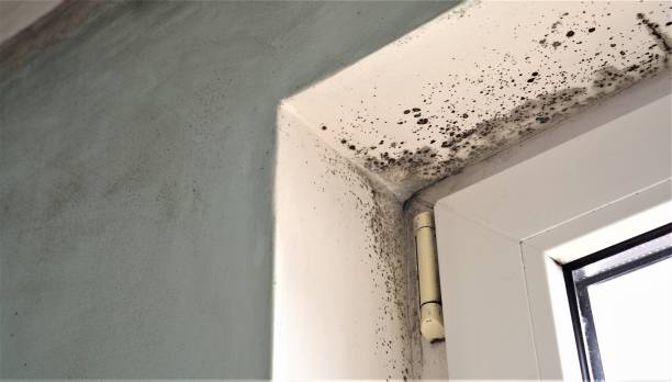 Best Indoor Air Quality Assessment  in Honokaa, HI
