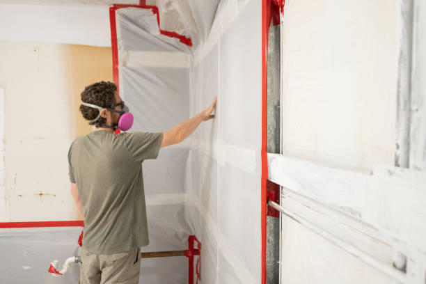 Mold Remediation for Rental Properties in Honokaa, HI