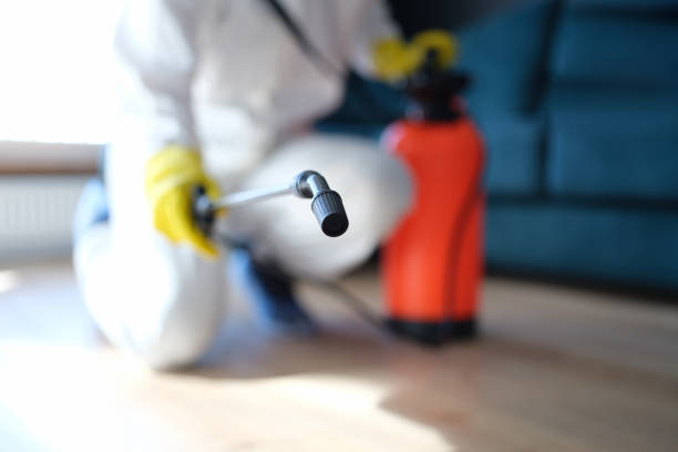 Best HVAC Mold Inspection and Cleaning  in Honokaa, HI