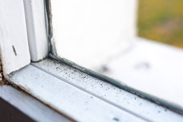 Dehumidification Services in Honokaa, HI