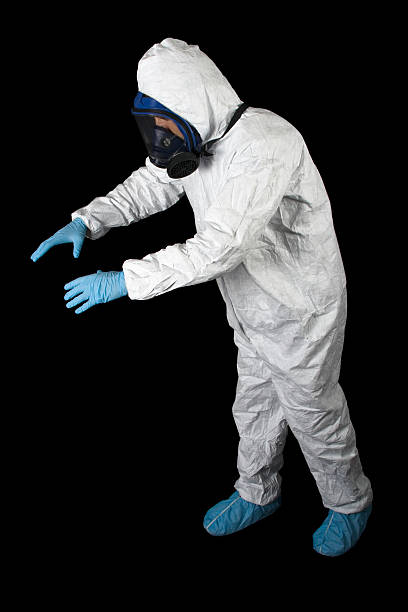 Professional Mold Removal in Honokaa, HI