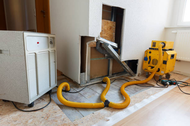 Best Water Damage & Mold Remediation  in Honokaa, HI