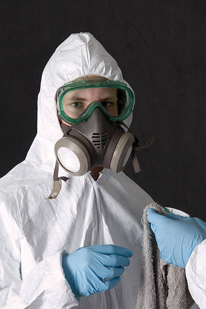 Best Mold Prevention Services  in Honokaa, HI